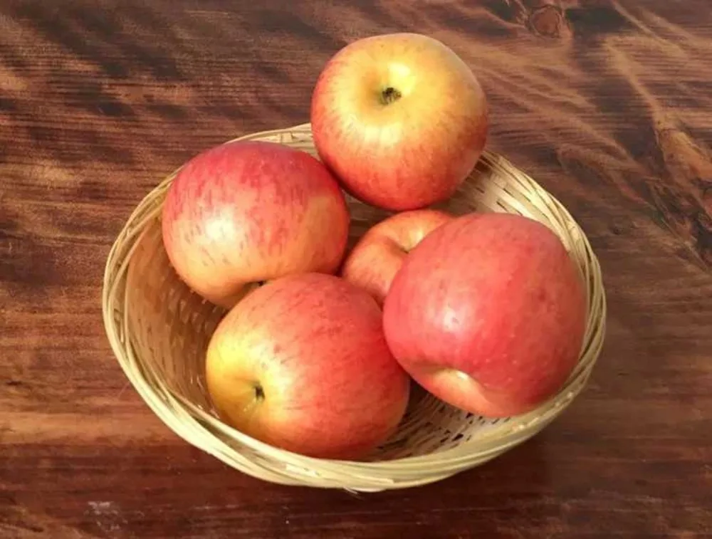 Vegetable Food Storage Basket Bread Fruit Round Dustpan Decorative Woven Basket Desktop Decoration Egg Basket - Image 14